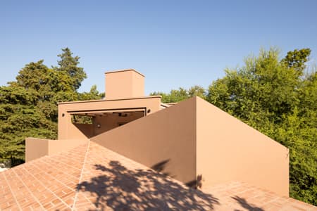 House around the Tree